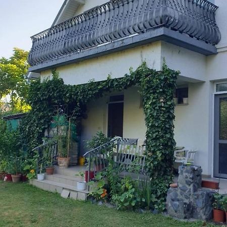Ilona Apartmanok Балатонбоглар Екстер'єр фото