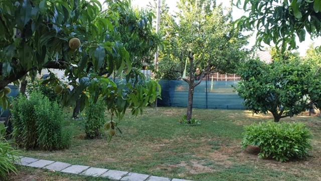 Ilona Apartmanok Балатонбоглар Екстер'єр фото